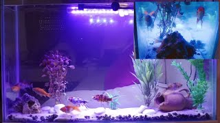 fabriqué aquarium facile 4k    صناعة حوض السمك  بطريقة بسيطة مع ذكر تمن