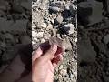 Please help! What material is this? CA, Flint Knapping!#rockhounding #flintknapping
