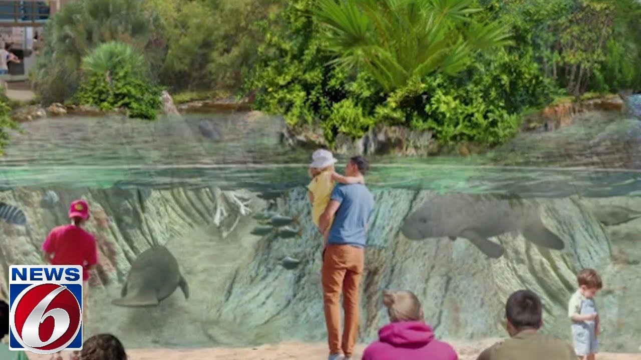 Future Port Canaveral aquarium 70 funded, Brevard Zoo says YouTube