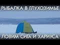 РЫБАЛКА В ГЛУХОЗИМЬЕ / ЛОВИМ СИГА И ХАРИУСА