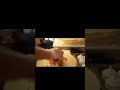Zaminas Catering Best Food| Best Cater in Oldham