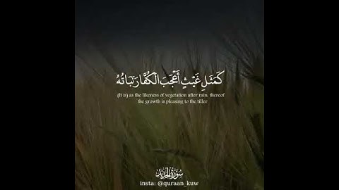 القارئ حاتم المالكي 😍 قرآن _سورة الحديد
