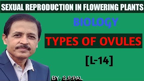 Types of ovules । बीजांड के प्रकार । Different types of ovules। विभिन्न प्रकार के बीजांड ।
