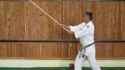 Jo Suburi - Shomenuchi - AAA 5th Kyu Ki Test and Exercise