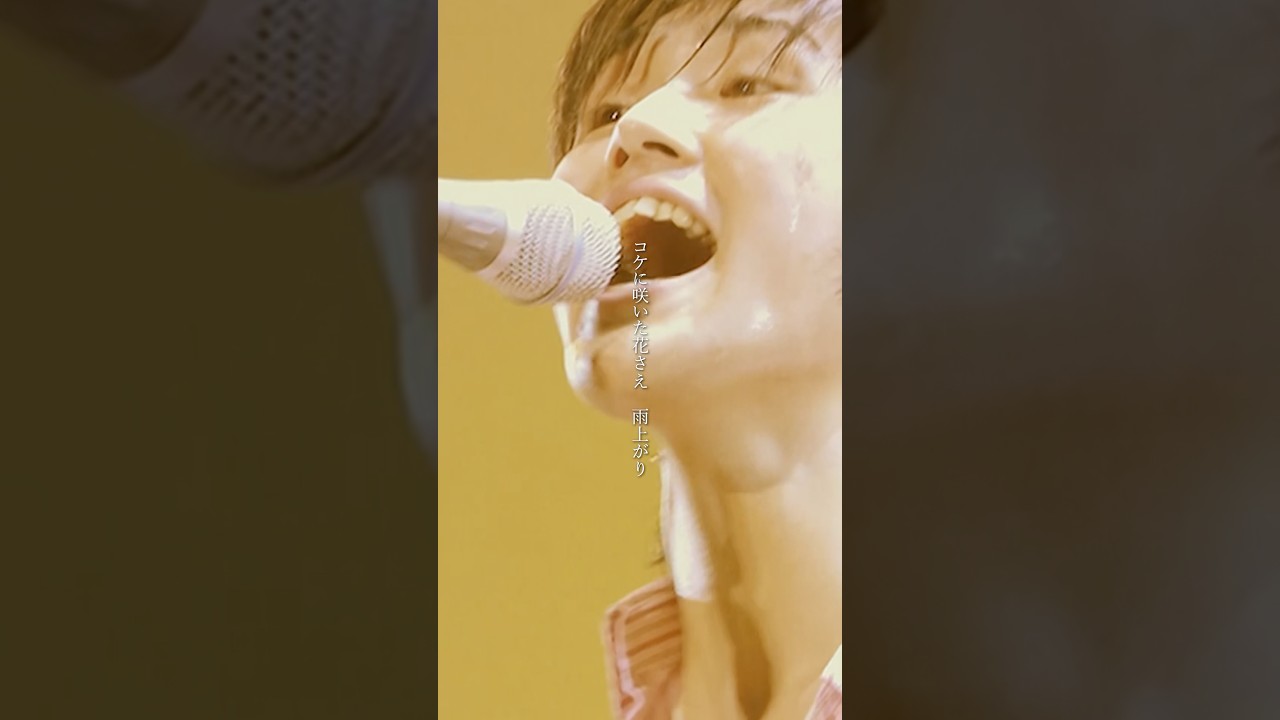 2005年3月9日に行われた初の武道館公演より、「雨上がり」をYouTubeにて公開中(期間限定)!