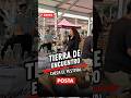 Ecatepec se llena de cultura: arranca el Festival "Tierra de Encuentro y Raíces"