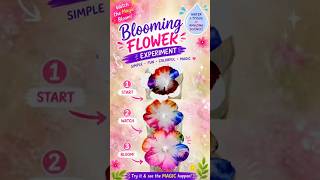 🌼 Blooming Flower Experiment | Easy Science Activity for Kids 🌼. #scienceexperiment