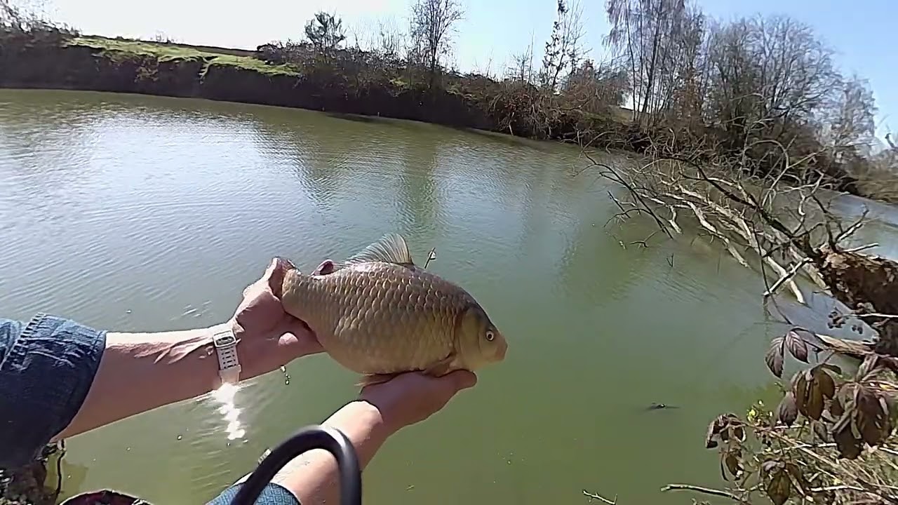 Episode 12 sous le soleil du midi