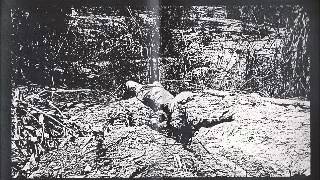 Download Lagu Iconoclast - Demos / Live  1993 MP3