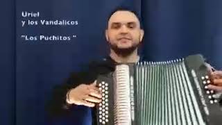 🔵"Los Puchitos" (Uriel y Los Vandálicos)