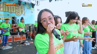 MATAHARINYA DUNIA - Adella Girls - OM ADELLA ( live New Recinda 2024 )