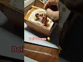 pakan siap di kandang