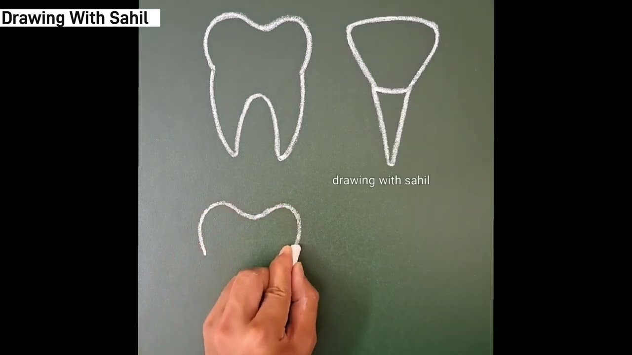 types of teeth | teeth drawing | human teeth drawing | different types of teeth | teeth drawing easy