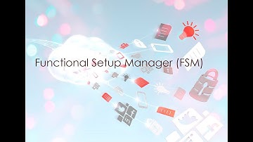 Functional Setup Manager (FSM)