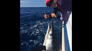 Justin&#39;s Bermagui Striped Marlin. Alliance Tag and Release Tournament