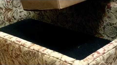 Albino Burmese Python Killing a Large Rat.