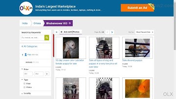 OLX - How To View Products In Gallery Mode