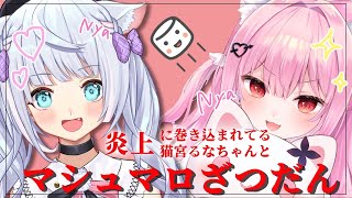 みけねこの配信のサムネイル画像