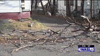 My whole house shook' Bangor woman shares storm experience