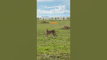 3 Days Tanzania Safari Tarangire Ngorongoro Lake Manyara Unforgettable Wildlife Adventure 