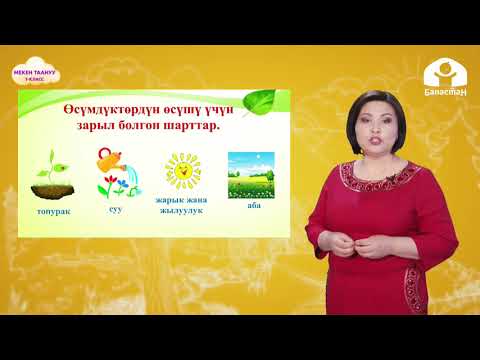 Video: Кандай асма өсүмдүктөр колибрилерди өзүнө тартат?