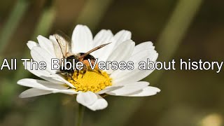 What does the Bible Say About History - All the Bible Verses About History