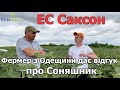 Фермер з Одещини дає відгук про соняшник ЕС Саксон