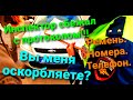 Инспектор ДПС сбежал с протоколом) РЕМЕНЬ! НОМЕРА! ТЕЛЕФОН!