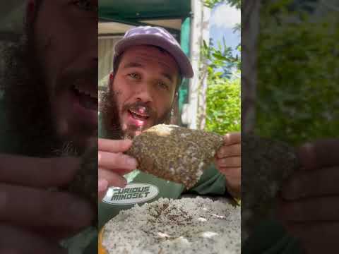 נקניק שייטל ביתי עם קיט תבלינים שלי אתם הולכים להנות