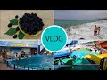 VLOG:огород/Черное море/дельфинарий Лоо/аквапарк