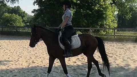 Jocelyn Kline Flat Riding Compilation