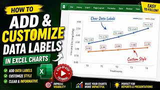 How to Add & Customize Data Labels in Excel Charts | Excel Chart Tutorial for Beginners