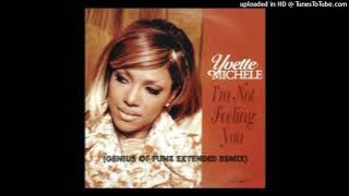 Yvette Michelle - I'm Not Feeling You (Genius of funk Extended Remix)