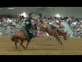 Rodo avec le bucking ranch dantoine villard de collonge en charollais 2023