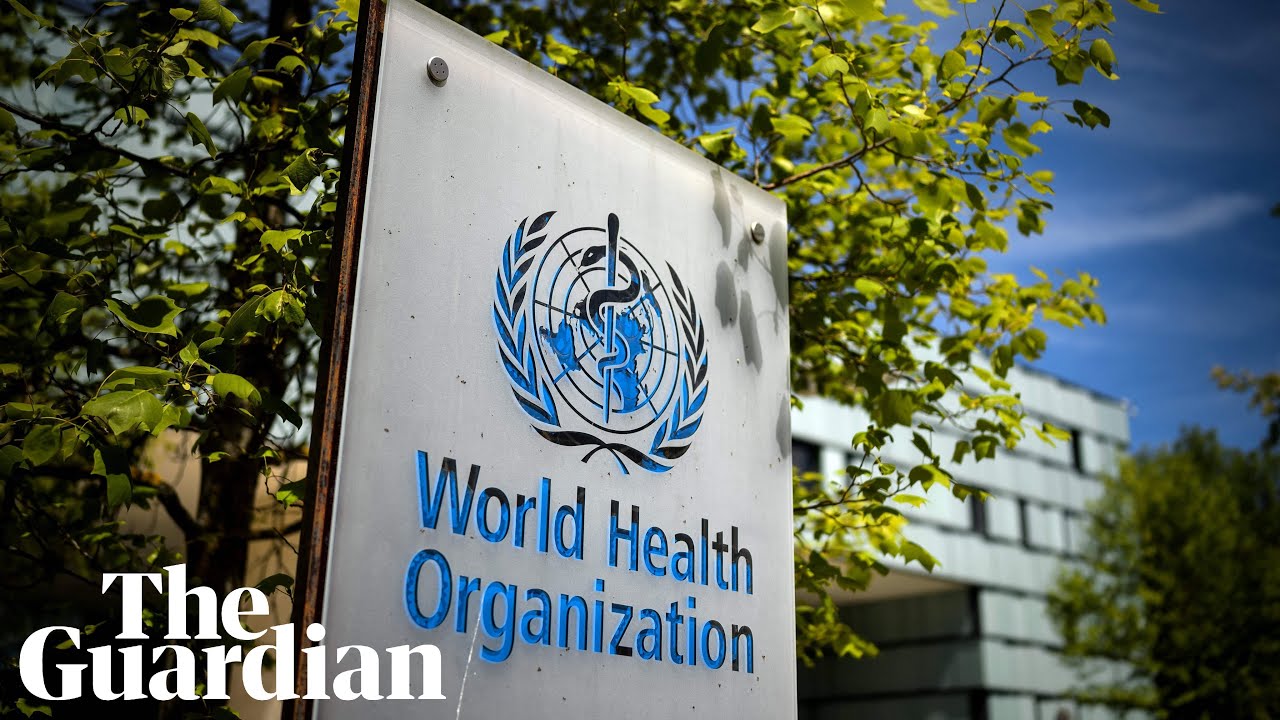 Independent review updates on global handling of Covid-19 – watch live