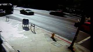 IMG 4585