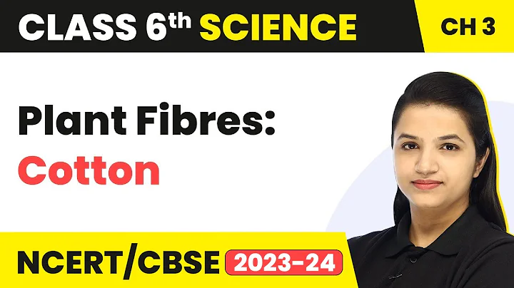 Plant Fibres: Cotton | Class 6 Science Chapter 3 (2022-23)