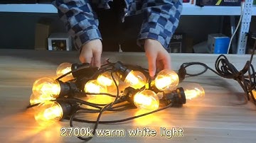 secrets of G50 Bulb string light warm white revealed: here