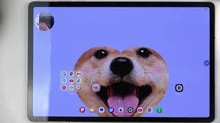 SAMSUNG Galaxy Tab S12+ 5G – How to Record Screen