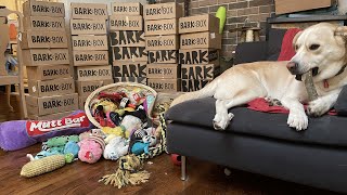 Is BarkBox Worth it? Why I just Canceled