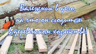 И снова о валежнике, что можно сделать из валежника. #валежник #закон