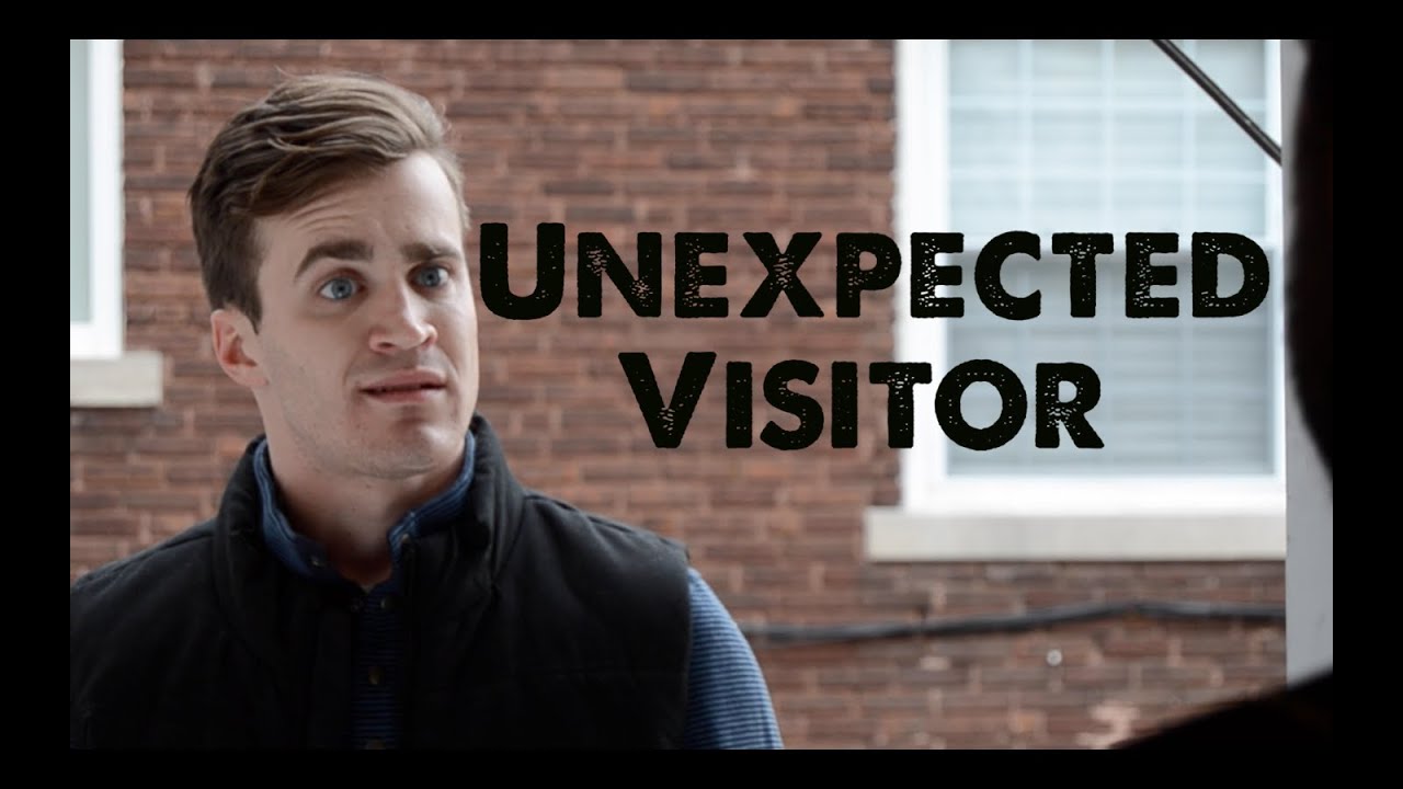 the unexpected visitors the unexpected visitors