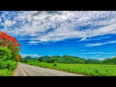 Kevin MacLeod - Move Forward