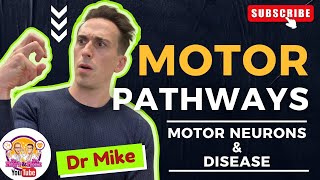 Motor Pathways | Motor Neurons and Disease