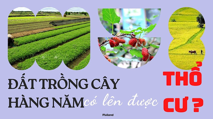 Đất bằng trồng cây hàng năm khác là gì năm 2024