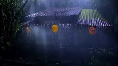 “4 Cold Cases Cracked in 2024 With SHOCKING Twists You Won’t Believe”