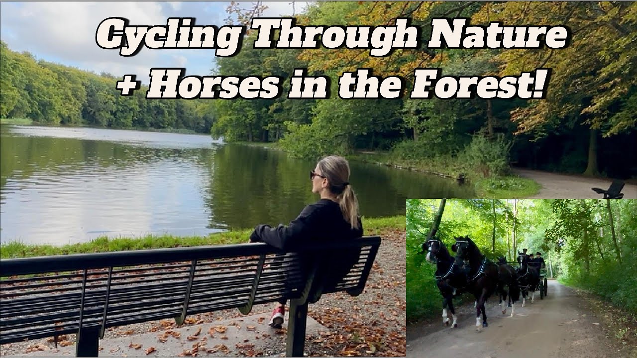 Peaceful Cycling & Walking in the Forest I Relaxing Nature Sounds, Birds & Wind ASMR🌿🌳