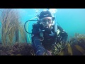 Scuba diving cornwall  gylly beach