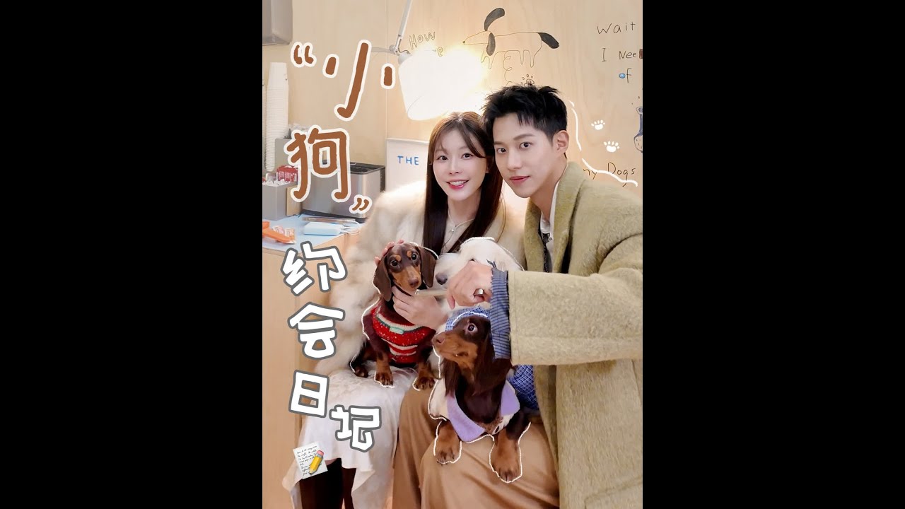 「关于小狗的约定」温暖藏在“毛”茸茸里 #卡诗宠爱黑金双奢礼盒