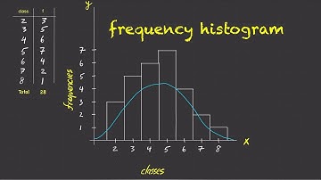 Frequency Histograms for Categorical Data